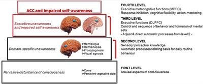 Executive Dysfunction and Reduced Self-Awareness in Patients With Neurological Disorders. A Mini-Review